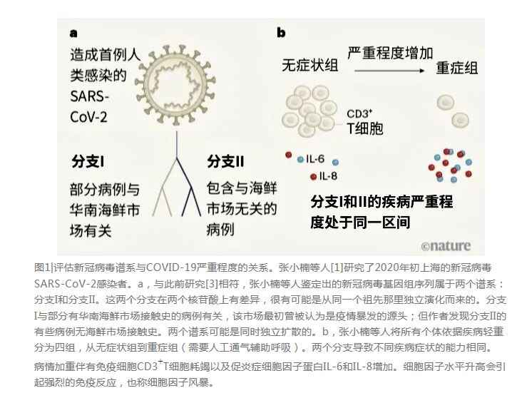 評估新冠病毒譜系與COVID-19嚴重程度的關系 (2).jpg