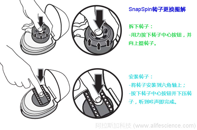 賽默飛mySPIN 6迷你離心機