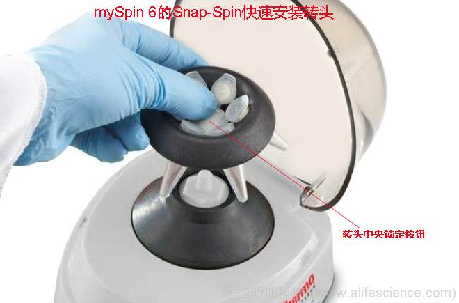 賽默飛mySPIN 6 迷你離心機