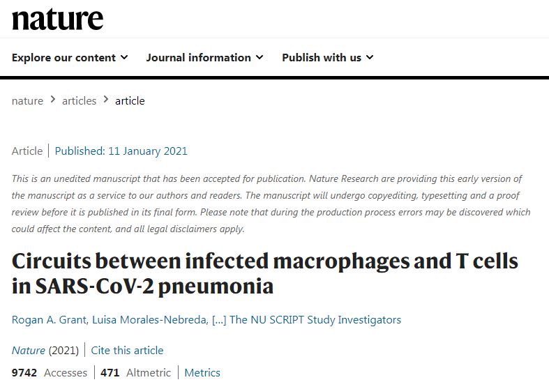 Circuits between infected macrophages and T cells in SARS-CoV-2 pneumonia