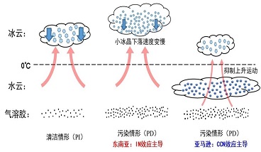 CCN（云凝結(jié)核）效應(yīng)、IN（冰核）效應(yīng)