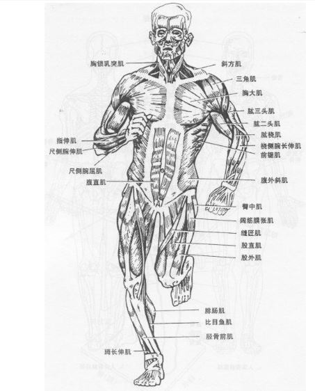 最佳的運動水平和方式可以對抗慢性炎癥