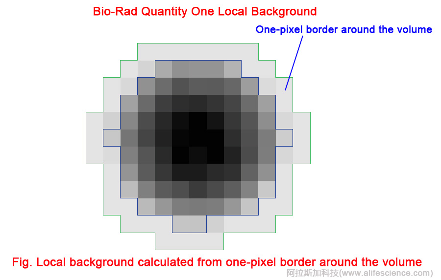 Bio-Rad Local Background Subtraction