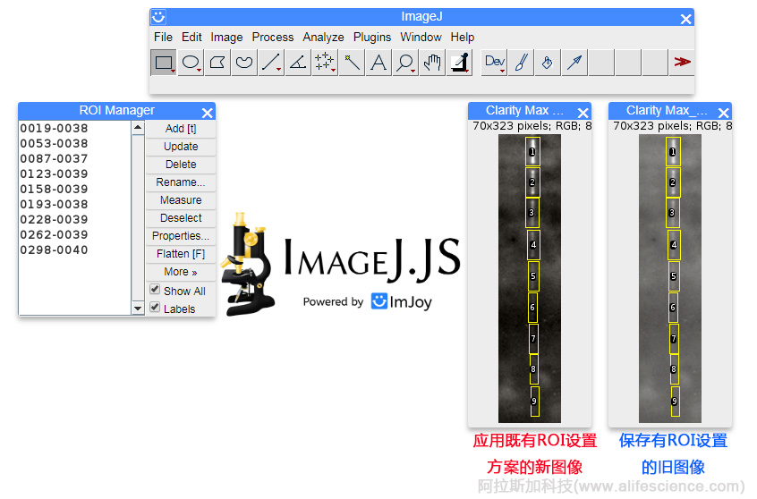 用ImageJ創建ROI設置的復制應用