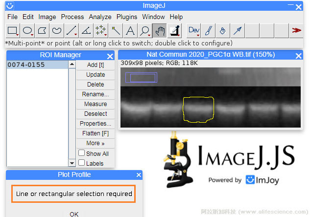 不規則選區無法調用ImageJ Plot Profile功能.jpg