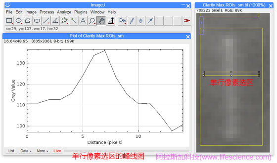 ImageJ軟件Plot Profile的單行像素選區(qū)ROI顯示功能.jpg