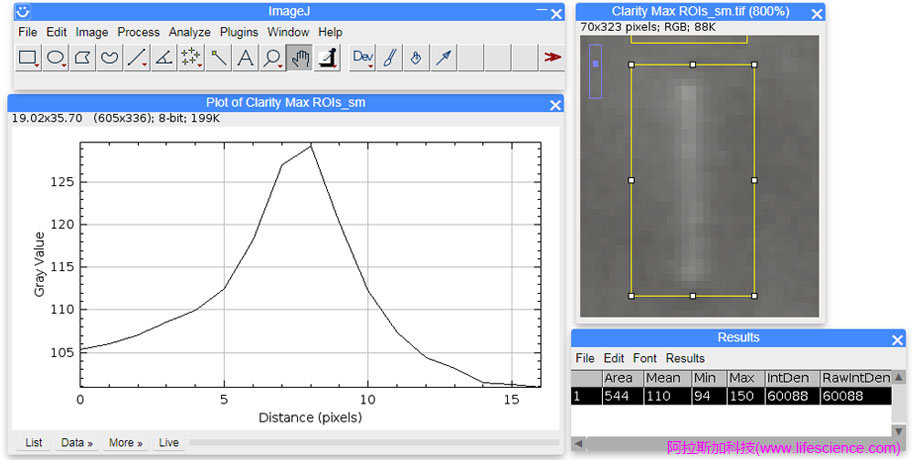 ImageJ軟件Plot Profile的WB條帶選區(qū)ROI峰型圖和統(tǒng)計結(jié)果.jpg