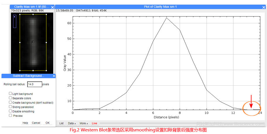 Fig.2 Western Blot條帶采用默認smoothing設置扣除背景后圖像強度分布圖.jpg