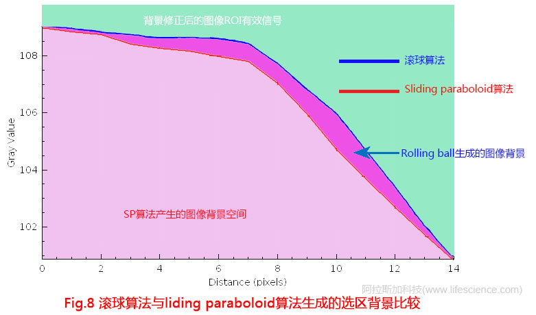 Fig 8 滾球算法與liding paraboloid算法生成的選區圖像背景.jpg