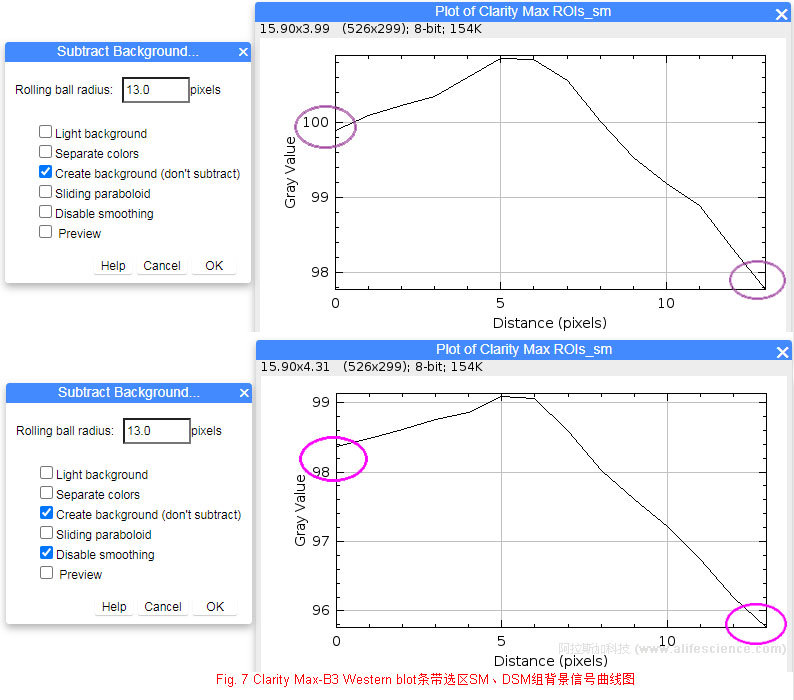 Fig 7 Clarity Max-B3 Western blot條帶選區SM、DSM組背景信號曲線圖.jpg