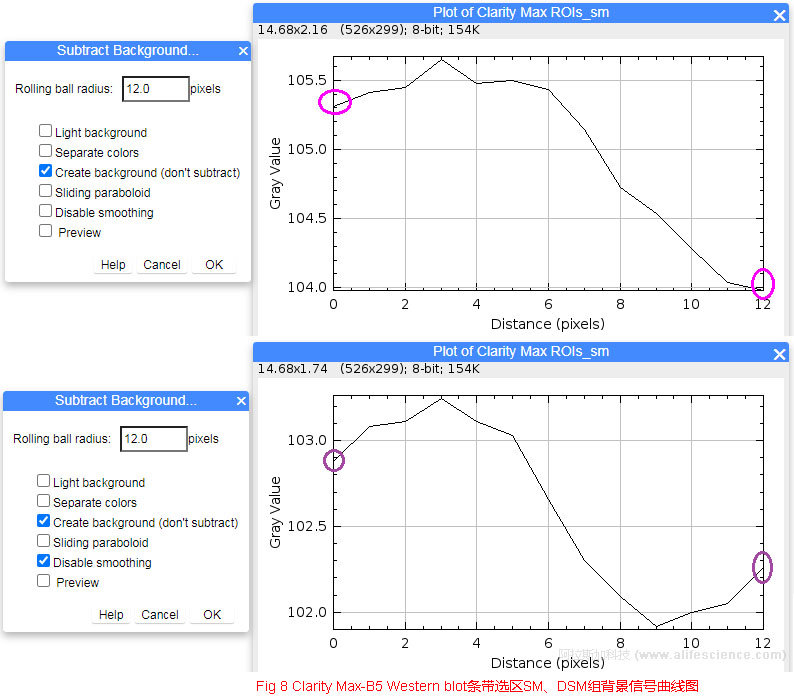 Fig 8 Clarity Max-B5 Western blot條帶選區SM、DSM組背景信號曲線圖.jpg