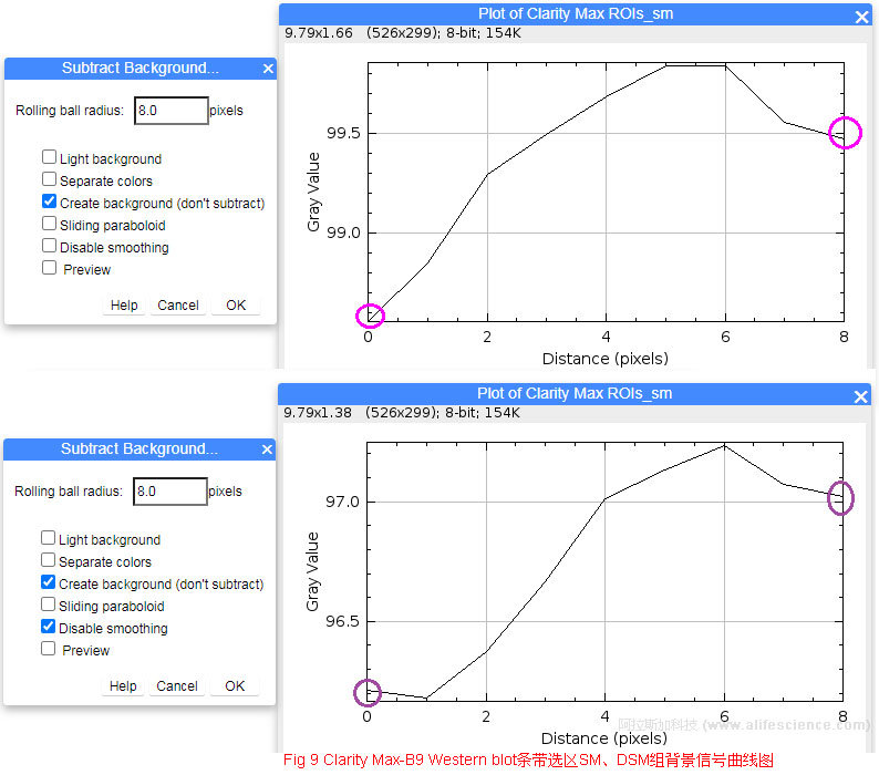 Fig 9 Clarity Max-B9 Western blot條帶選區SM、DSM組背景信號曲線圖.jpg