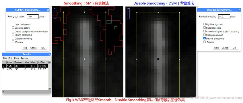 Fig 3 WB條帶選區經Smooth、Disable Smoothing算法扣除背景后圖像效果.jpg