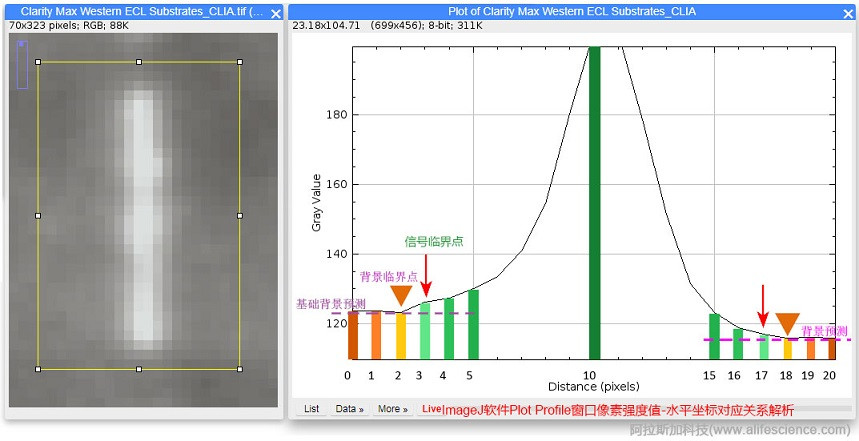 ImageJ軟件Plot Profile窗口像素強度值-水平坐標圖解析.jpg