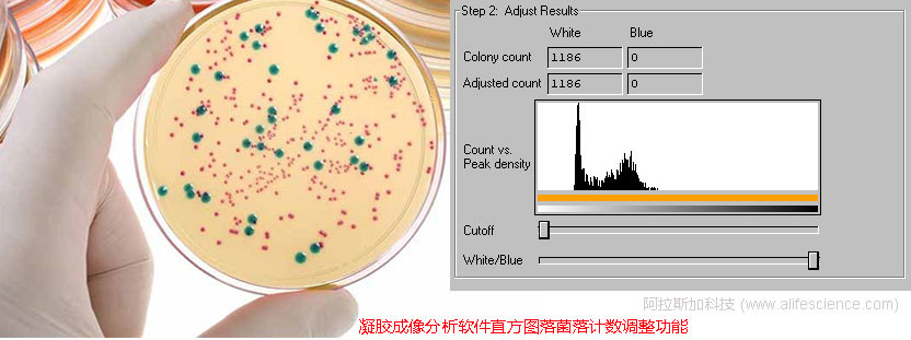 凝膠成像分析軟件菌落計數調整功能.jpg