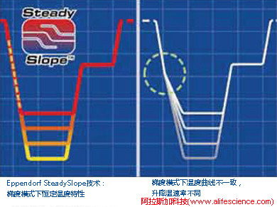 SteadySlope恒定溫度特性 VS 常規梯度模式下溫度曲線.jpg