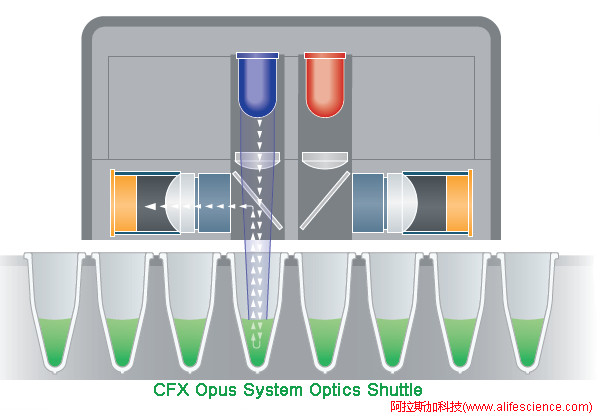 CFX Opus 96 384 實時熒光定量PCR儀熒光信號檢測單元工作原理.jpg