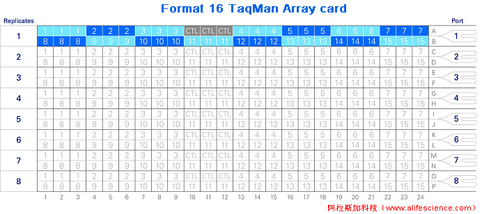 QuantStudio 6 Pro Format 16 TaqMan Array card.jpg