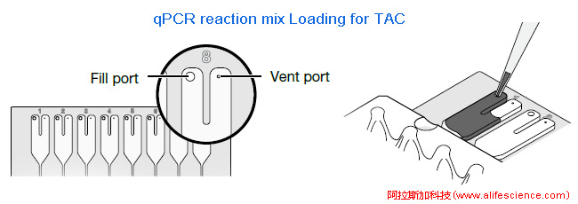 實時熒光定量PCR TAC上樣操作示意圖.jpg