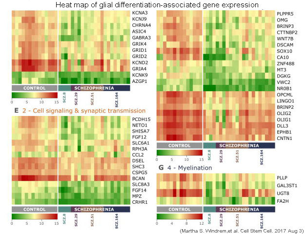 QuantStudio 12K Flex實時熒光定量PCR儀TAC測試數據heatmap.jpg