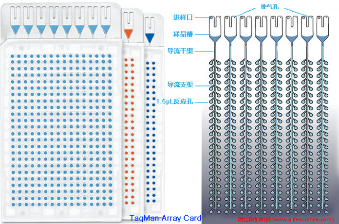 QuantStudio 7 Pro實時熒光定量PCR儀TaqMan Array Card.jpg