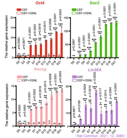 CFX Connect實(shí)時熒光定量PCR儀對iPS多能性標(biāo)記基因Oct4、Sox2、Nanog和Lin28A表達(dá)的檢測.jpg