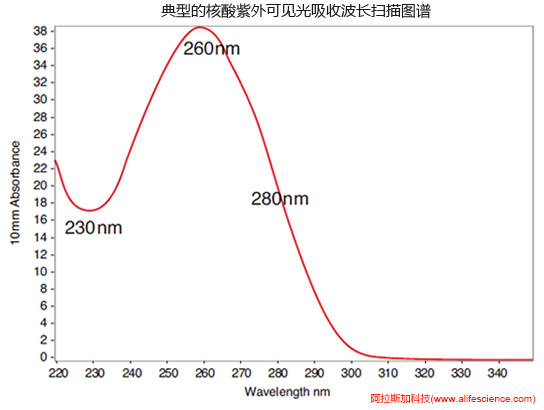 NanoDrop One C的核酸標準紫外波長掃描圖.jpg