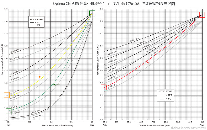 Optima XE-100_Optima XE-90_Optima XPN-100_Optima XPN-90_Optima XPN-80 超速離心機NVT 65近垂直轉(zhuǎn)頭 SW41 Ti水平轉(zhuǎn)頭CsCl連續(xù)密度梯度曲線.jpg