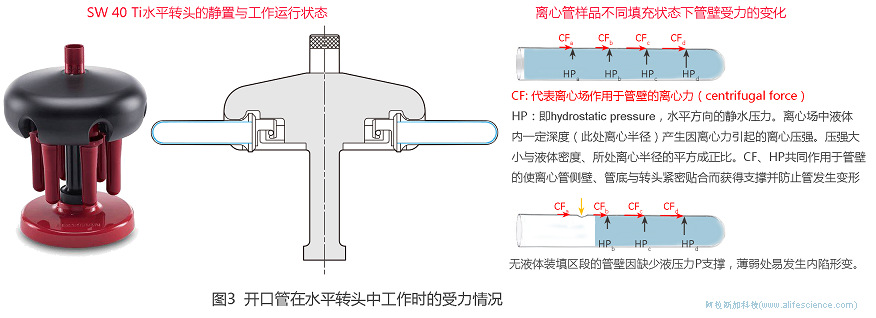 Beckman Optima XPN-100超速離心機(jī)開口管在SE40 Ti水平轉(zhuǎn)頭中工作時的受力情況.jpg