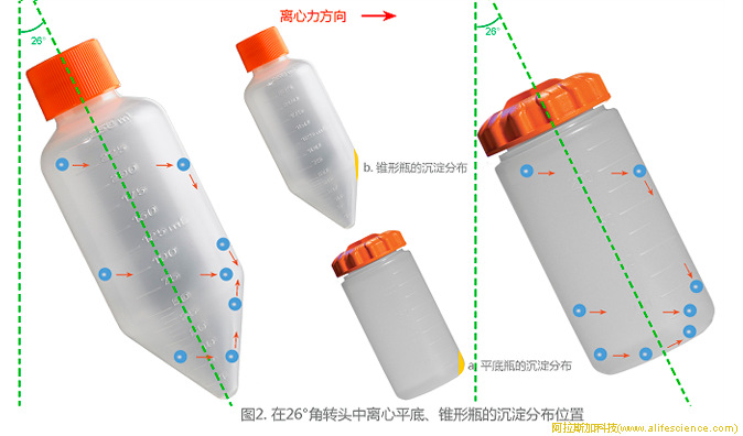 圖2.角轉(zhuǎn)頭中離心平底、錐形瓶的沉淀分布位置.jpg