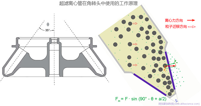 Cytiav Vivaspin 20 超濾離心管在JA-14.50角轉頭中的工作原理圖.jpg