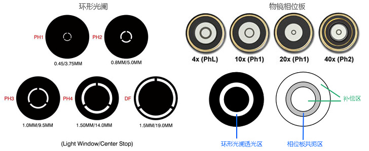 Zeiss Axio Observer 7 Leica DMi8 Olympus IXplore Pro（IX83）倒置熒光顯微鏡配套環(huán)形光闌及相位板示意圖.jpg